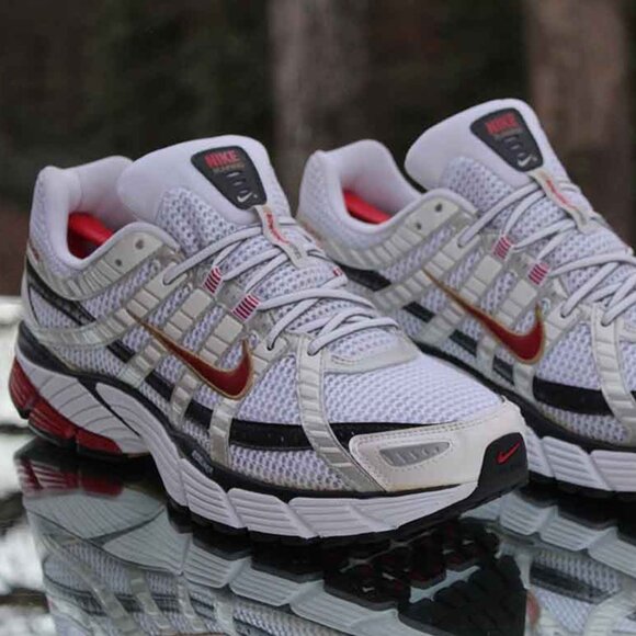 Nike Air Pegasus 2007+ Bowerman - Picture 11 of 14